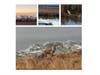 Coyote Hills Regional Park​​, Fremont, Calif.