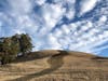 Coyote Hills Regional Park​​, Fremont, Calif.