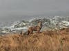 Coyote Hills Regional Park​​, Fremont, Calif.