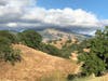 Walnut Creek, Calif.