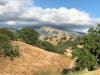 Walnut Creek, Calif.