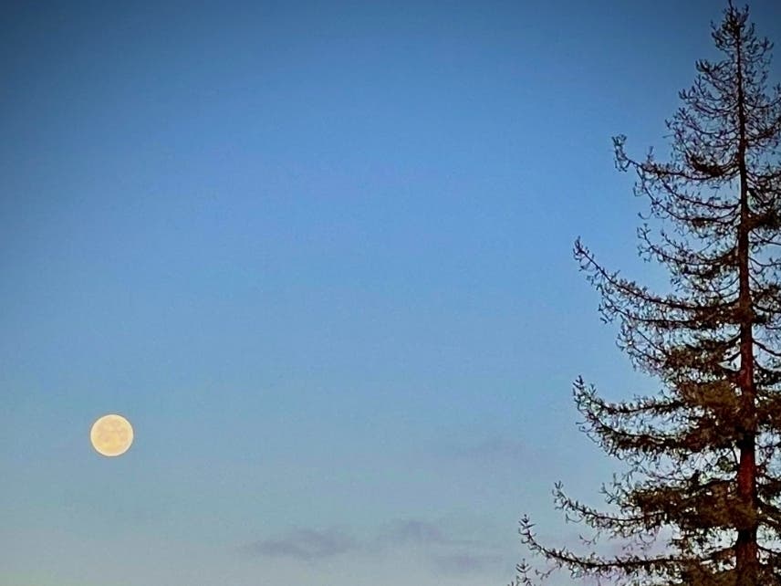 Full moon. Phole taken in Oakland, Calif.