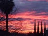 Sunrise in Fremont, Calif.