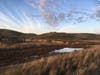 Coyote Hills Regional Park​​, Fremont, Calif.