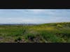 Hayward Hills, San Francisco Bay Area, Calif.