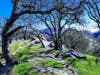 In addition to buildings, hikers are treated to the beautiful scenery.