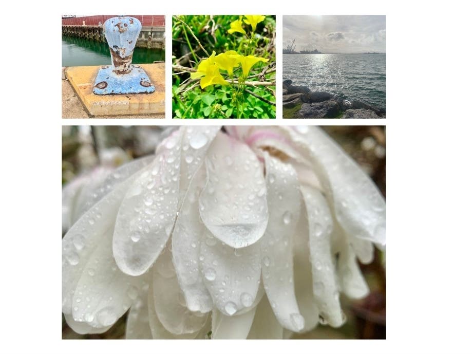 https://patch.com/img/cdn20/users/21854731/20210216/011416/styles/patch_image/public/alameda-collage___16130908676.jpg