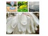Glimpses of Alameda, Calif.
