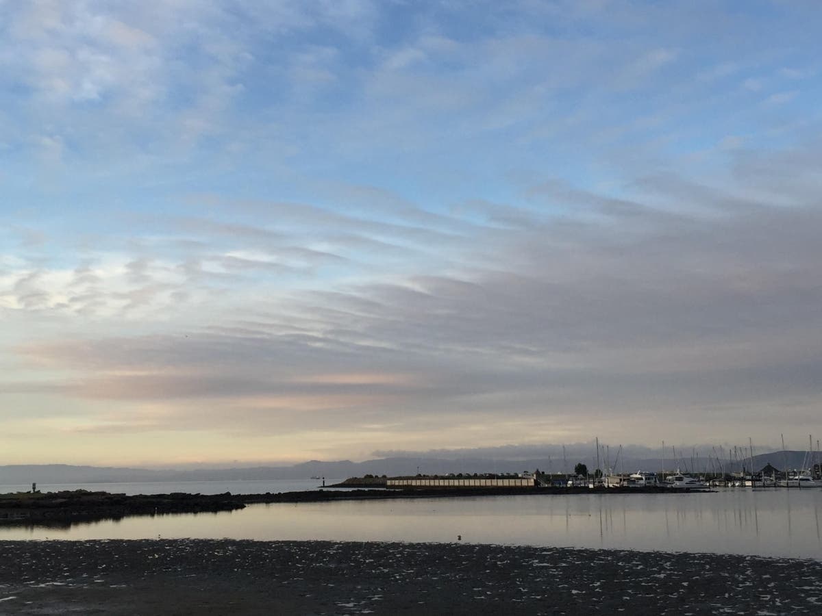 Safe Harbor Marina, Emeryville, Calif.