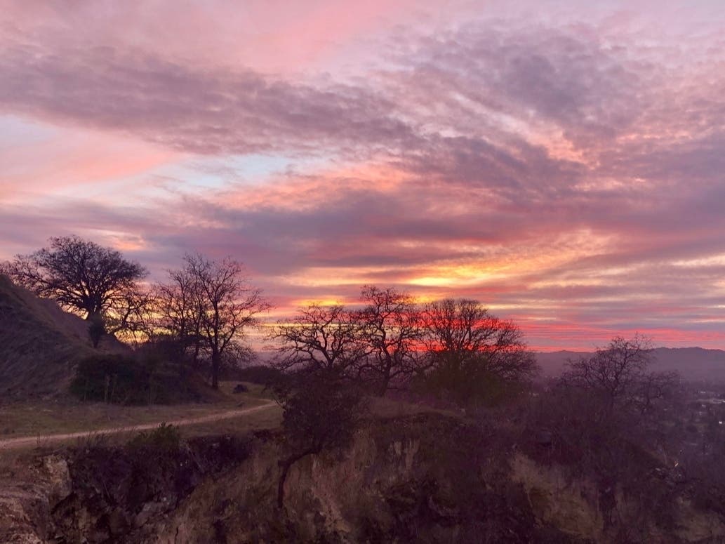 Lime Ridge, Walnut Creek, Calif.