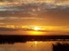 Coyote Hills Regional Park, Fremont, Calif.