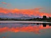 Sunset, Fremont, Calif.