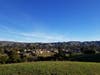 View from the trail. Sabercat Creek Trail, Fremont, Calif.