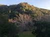 Little Yosemite at Sunol Regional Wilderness Area.