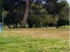 Lake Merritt Park, Oakland, Calif.
