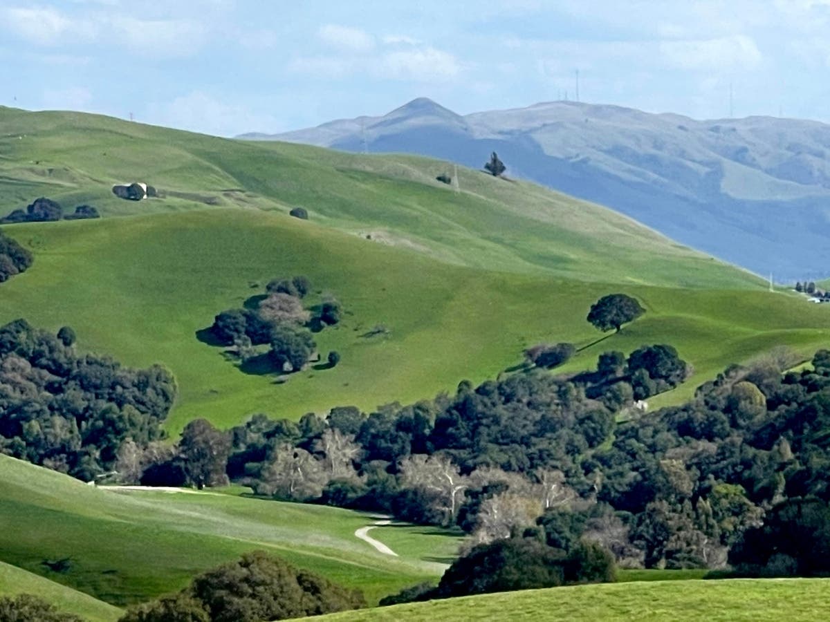 Regional parks in Hayward, Calif.