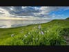 Spring colors at the Coyote Hills Regional Park, Fremont, Calif.