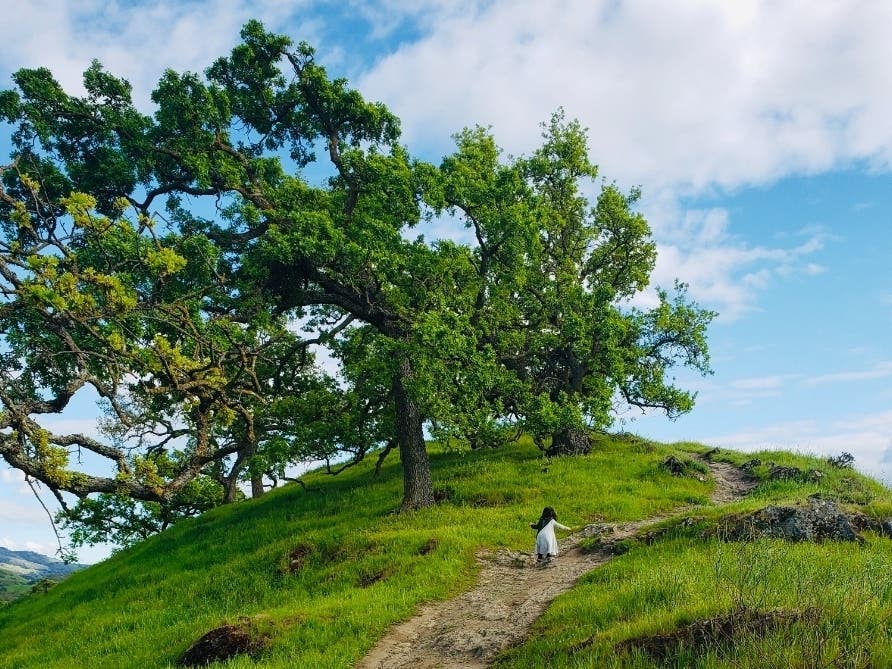 Shell Ridge Open Space, Walnut Creek, Calif.