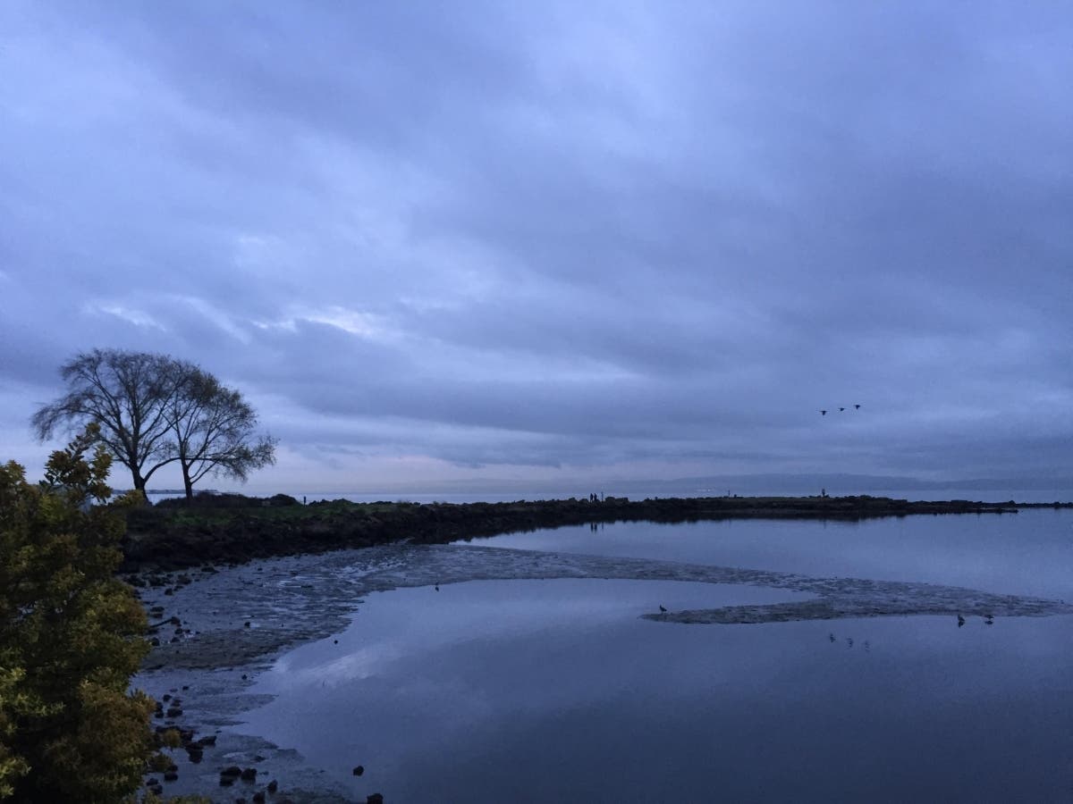 A cloudy morning, Alameda, Calif.