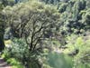 River in Auburn, Calif.