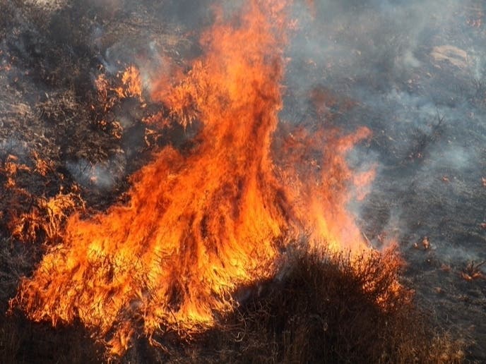 North Bay counties are impacted by the suspension.