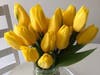 A bouquet of yellow tulips in Walnut Creek, Calif.