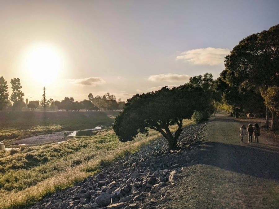 Along Alameda Creek.