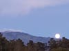 Mt. Diablo, from Walnut Creek, Calif.