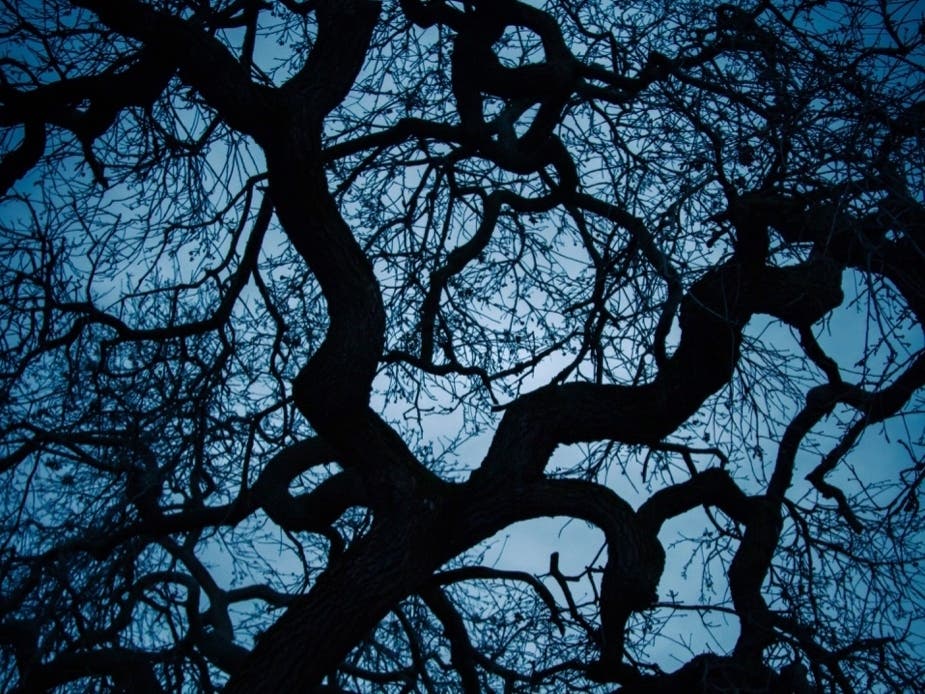 Heather Farm Park, Walnut Creek, Calif.