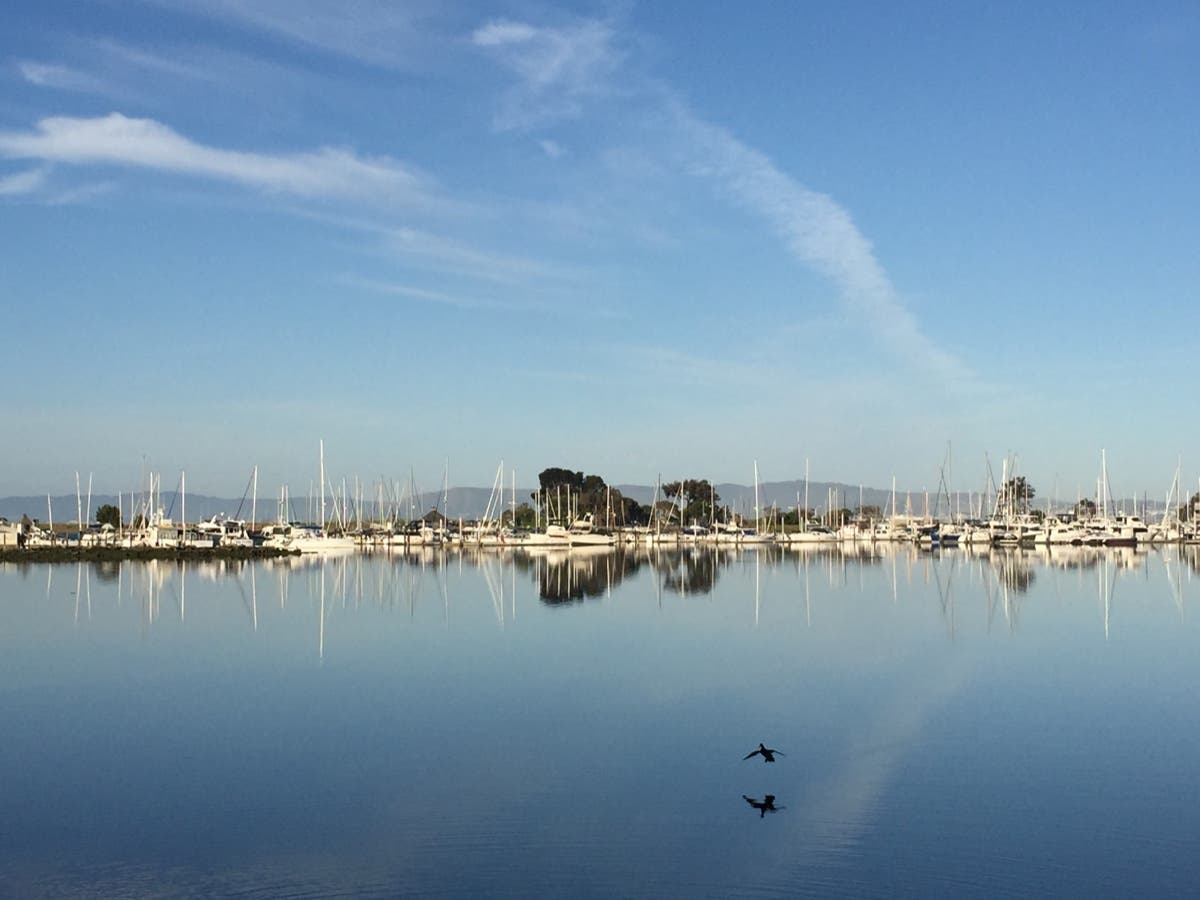 Crown Harbor in Alameda, Calif.