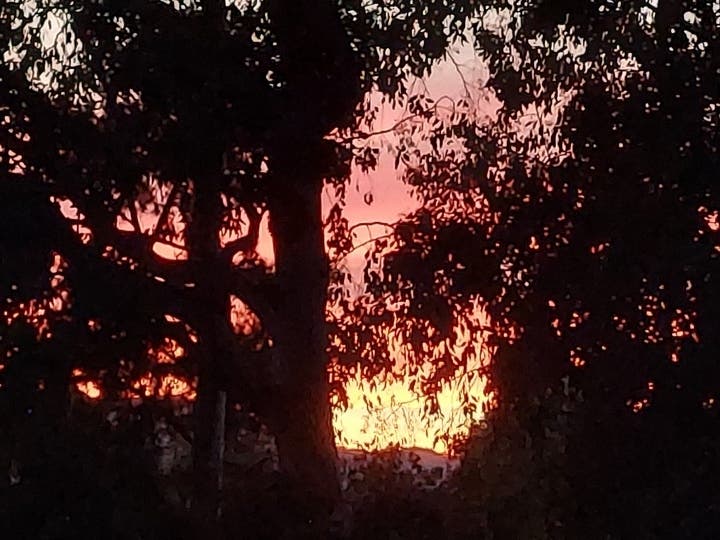 Sunset in Walnut Creek, Calif.