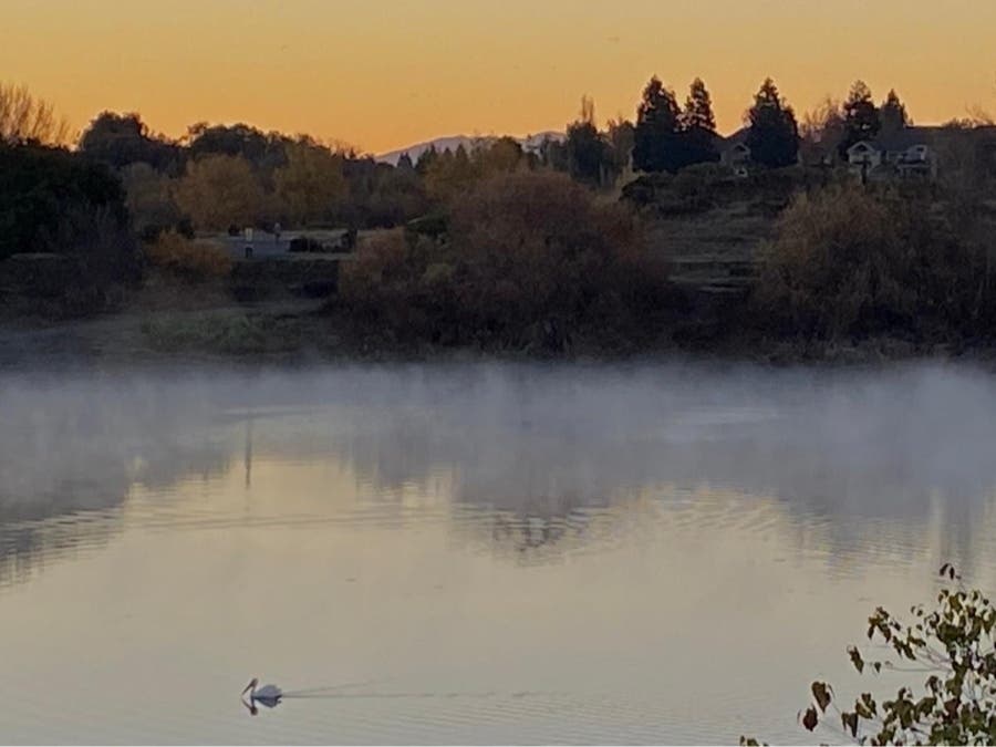 Quarry Lakes Regional Park, Fremont, Calif.