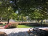 Central Park, Fremont, Calif.