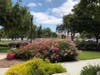 Central Park, Fremont, Calif.