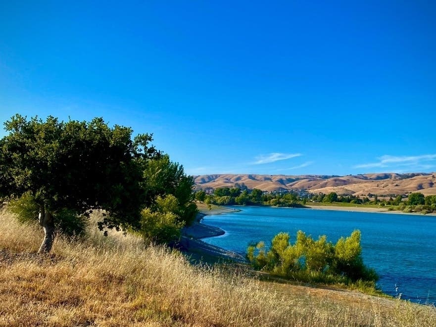 Quarry Lakes Regional Park, Fremont, Calif.