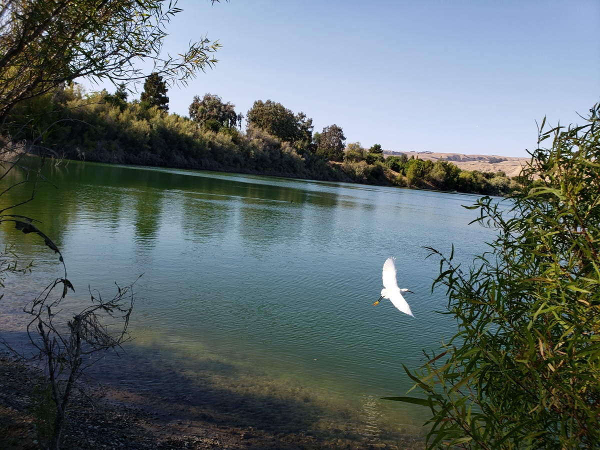 Quarry Lakes Regional Park, Fremont, Calif.