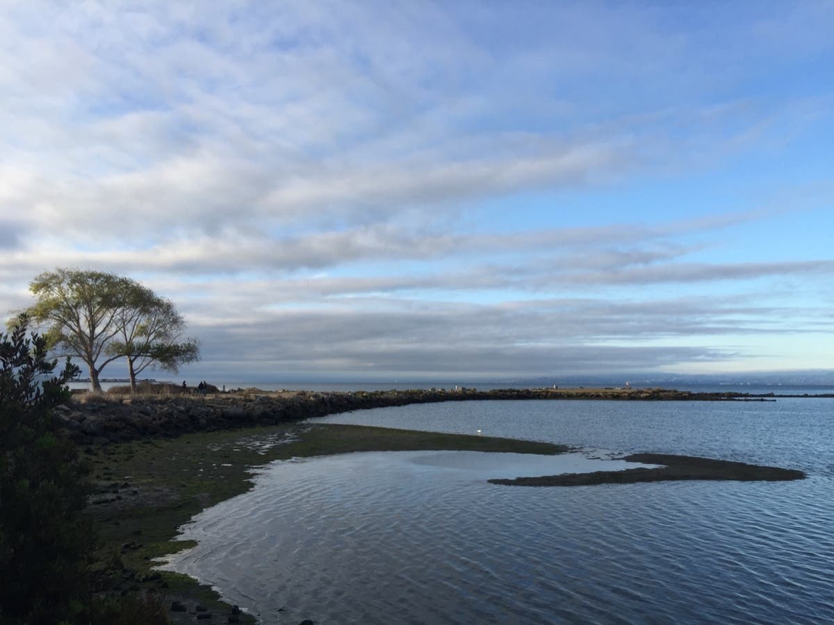 Water view, Alameda, Calif.