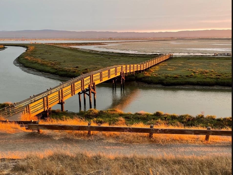 Don Edwards San Francisco Bay National Wildlife Refuge, Fremont, Calif.