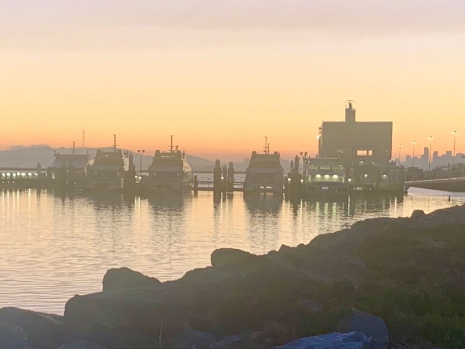 Transit ferries docked in Alameda, California during pandemic lockdown.