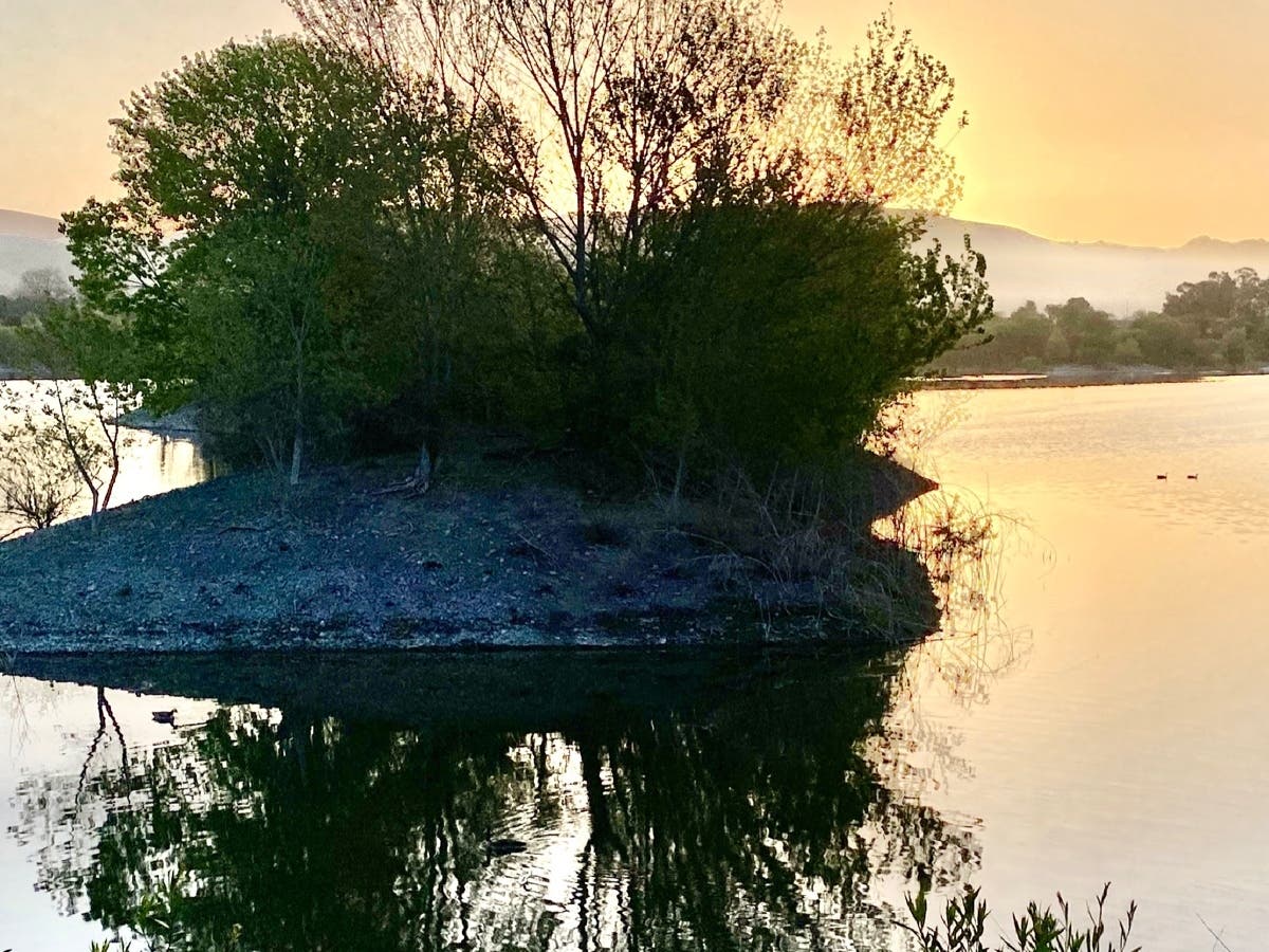 Quarry Lakes Regional Park, Fremont, Calif.