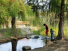 Family enjoying Lake Elizabeth in Fremont's Central Park.