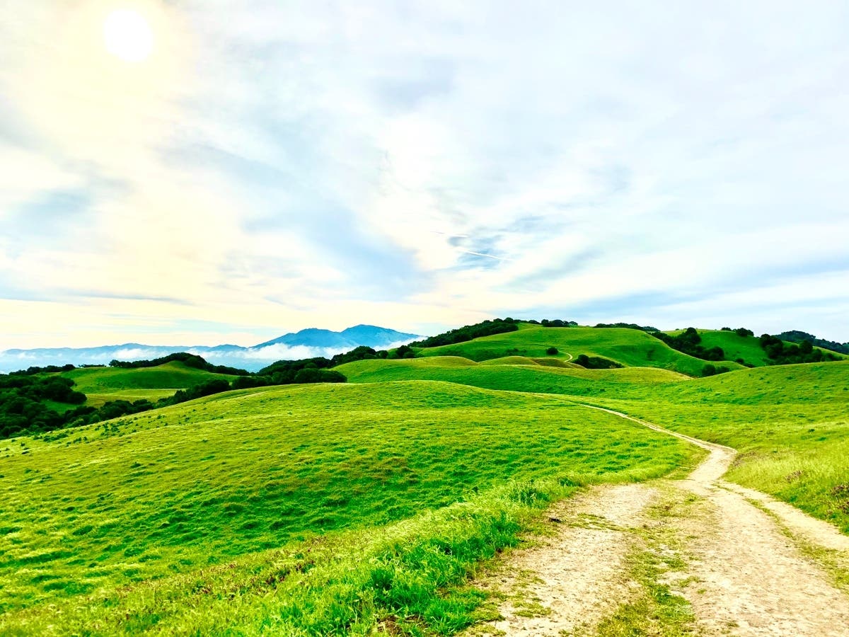 Mt. Diablo from Briones Regional Park, Calif. 