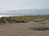 South Beach, Alameda, Calif.