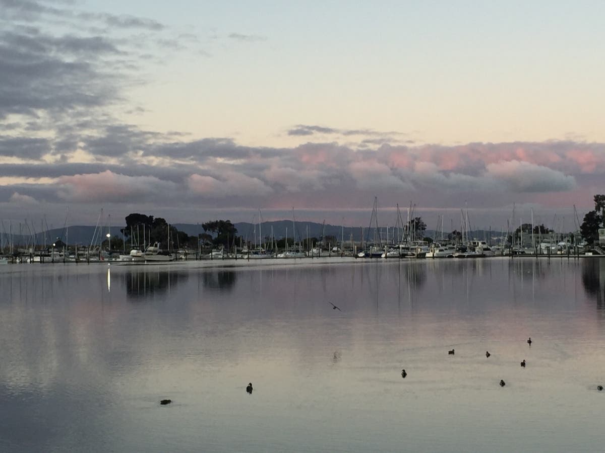 Crown Harbor, Alameda, Calif.
