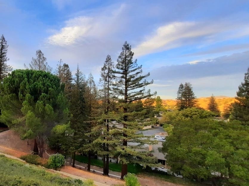 Trees, hills and sky — this technicolor view was snapped here in Walnut Creek.