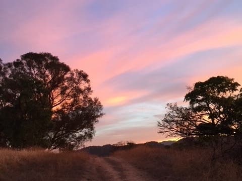 Lime Ridge Open Space, Walnut Creek, Calif.
