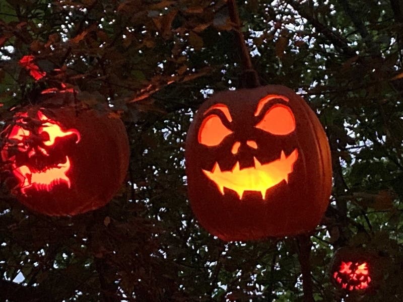 It's time to recycle your pumpkin!