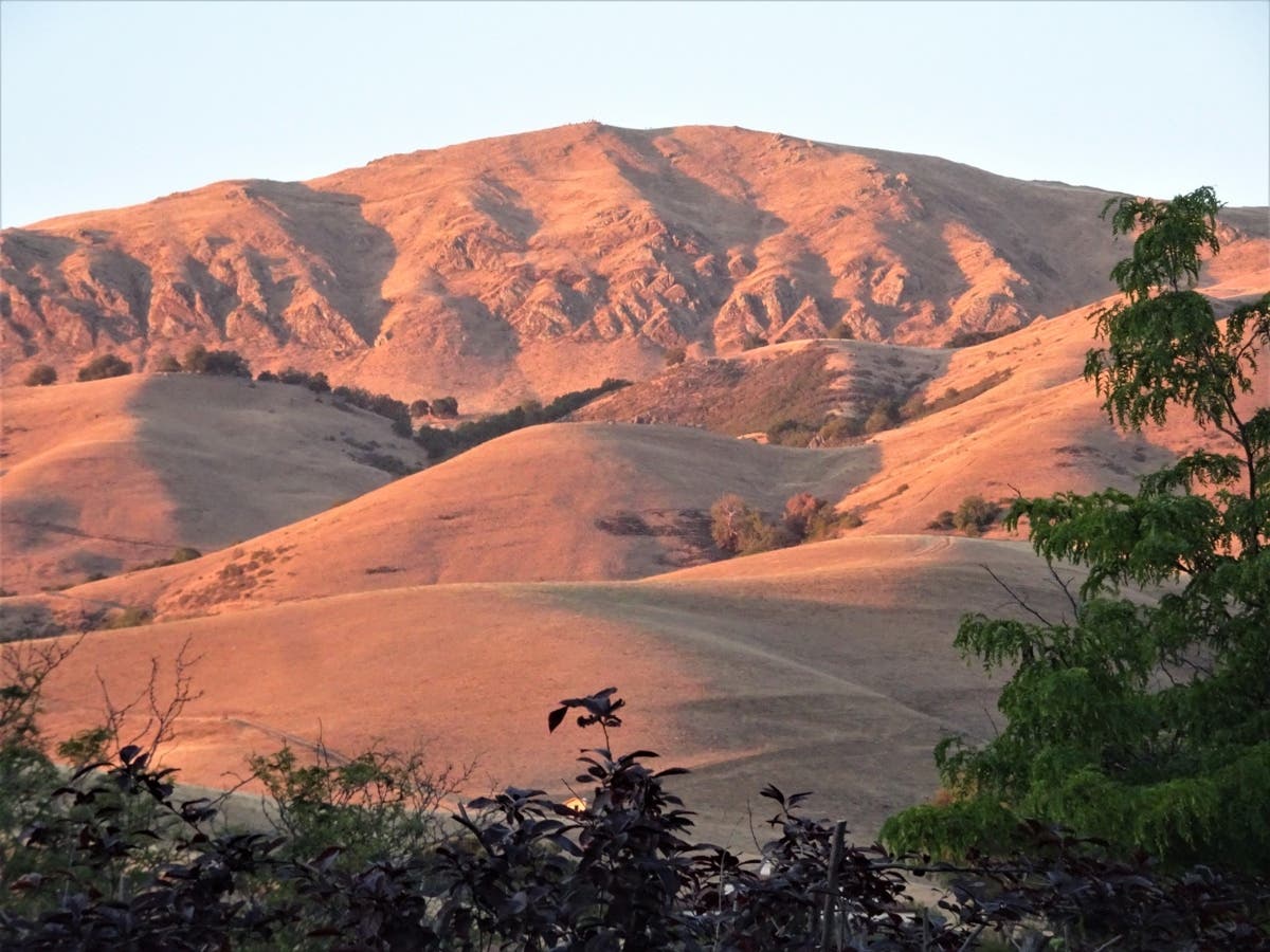 Mission Peak glows in the light of sunset, Fremont, California.
