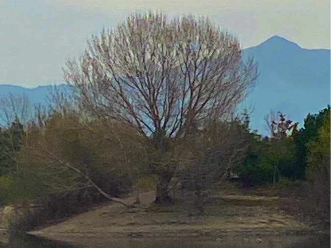 Quarry Lakes Regional Recreation Area, Fremont, Calif.
