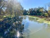 Peaceful water in Sacramento, Calif.